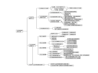 公民的政治生活