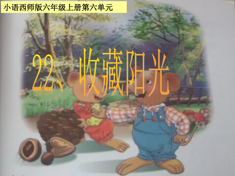 收藏阳光课件1_第1页