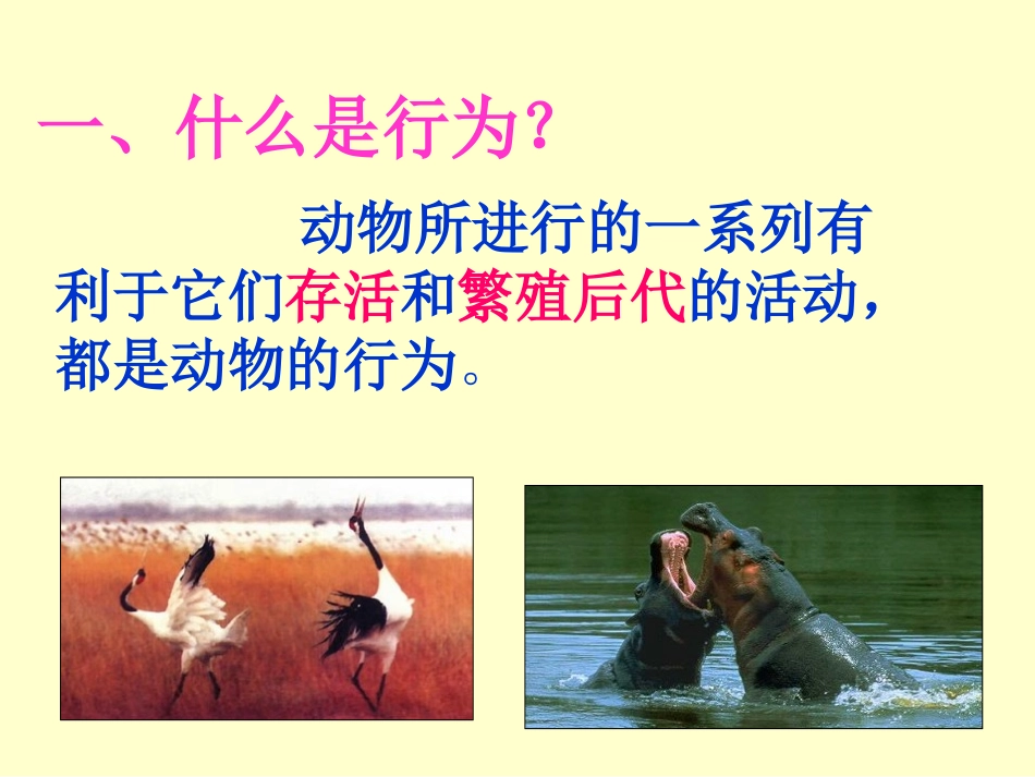 动物的先天性行为和学习行为_第2页