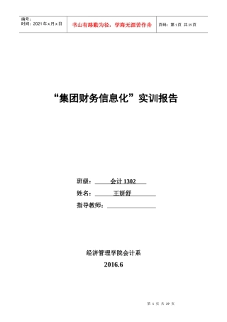 集团财务信息化报告模板
