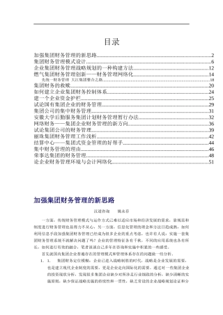 集团财务管理(doc 53)