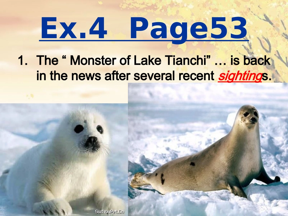 必修四Module6阅读_第2页