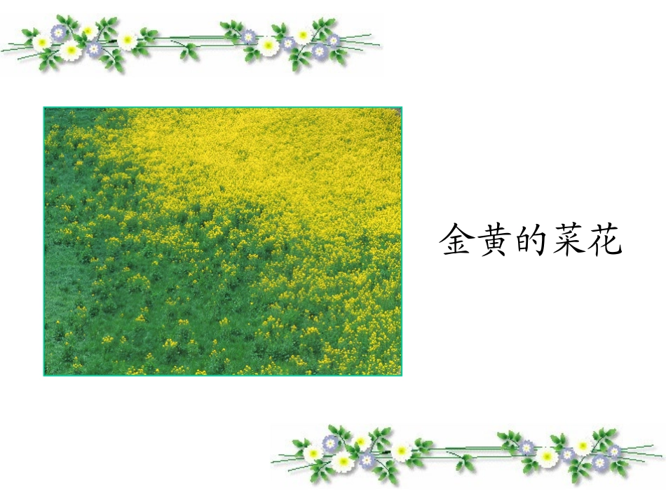 《植物妈妈有办法》教学课件[1]_第1页