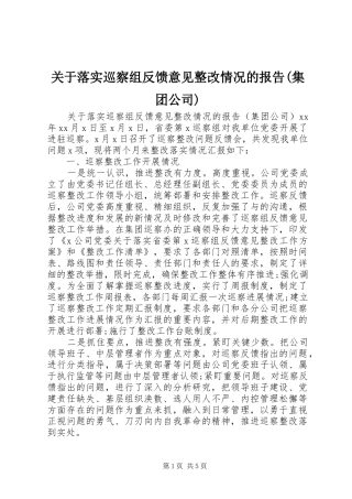 关于落实巡察组反馈意见整改情况的报告(集团公司)