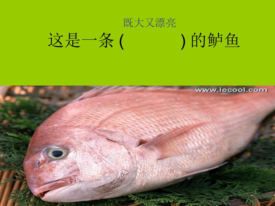 《钓鱼的启示》课件_第2页