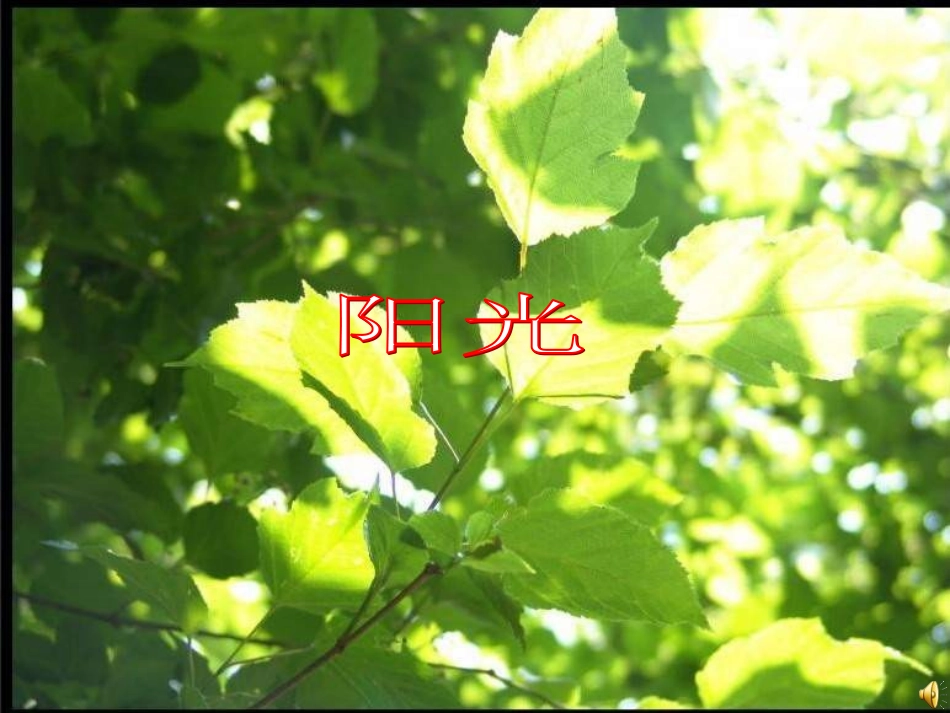 自然资源概况_第2页