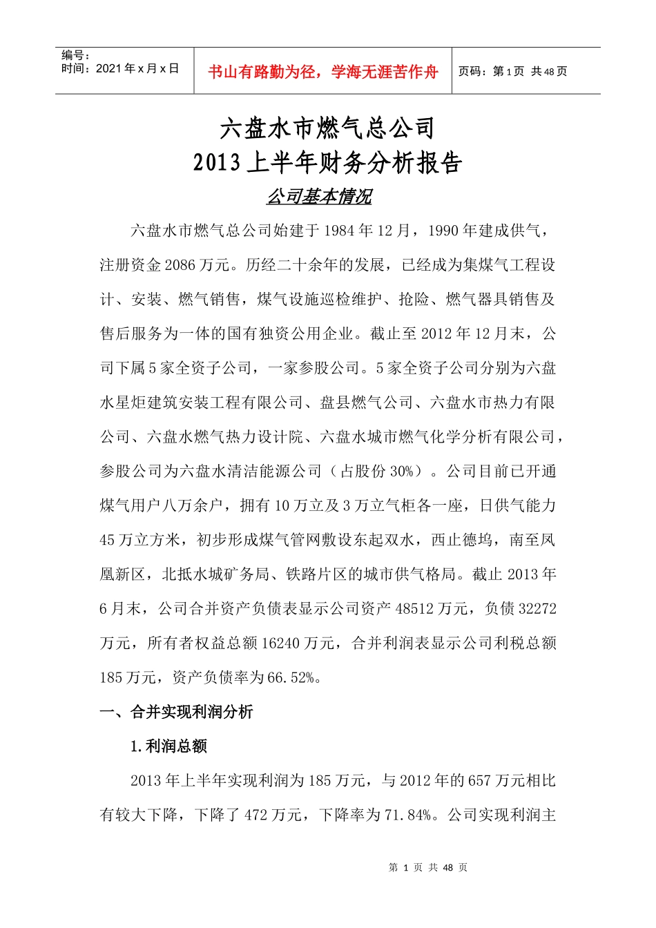 2013上半年财务分析报告_第1页