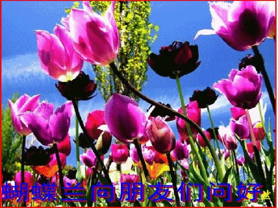 求阴影部分的面积_第1页