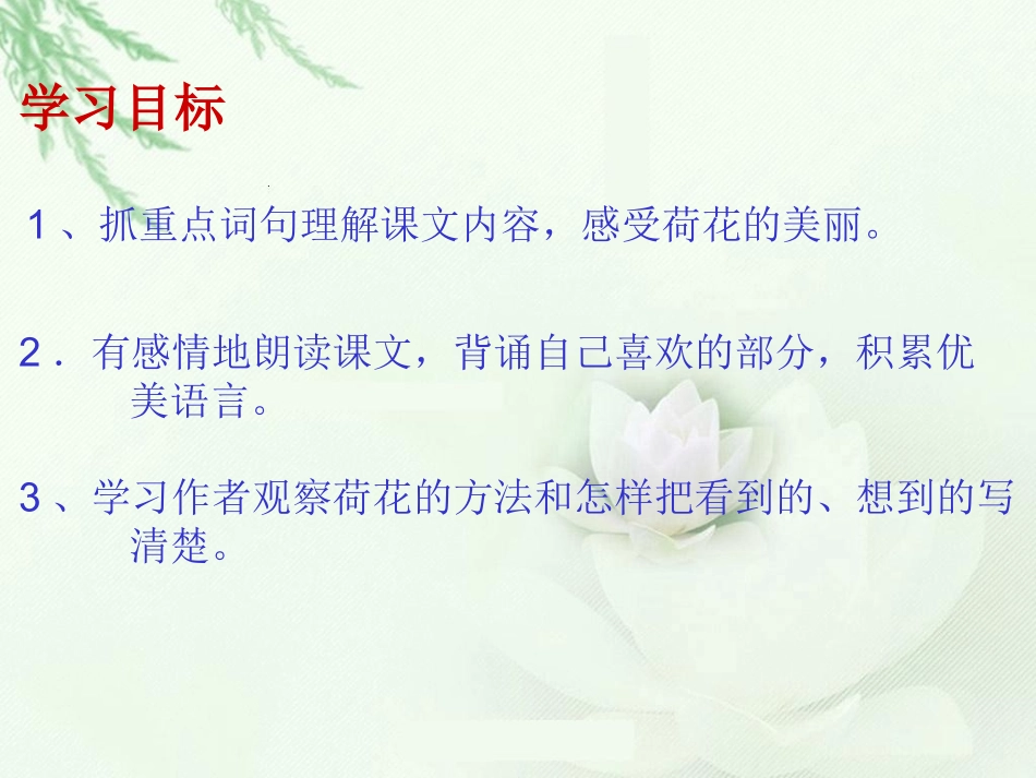 荷花第二课时课件_第3页