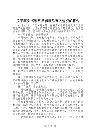 关于落实巡察组反馈意见整改情况的报告