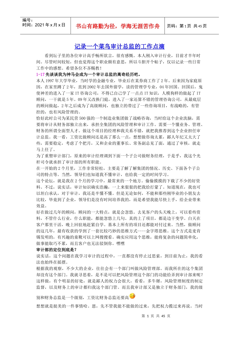 记录一个菜鸟审计总监的工作点滴_第1页