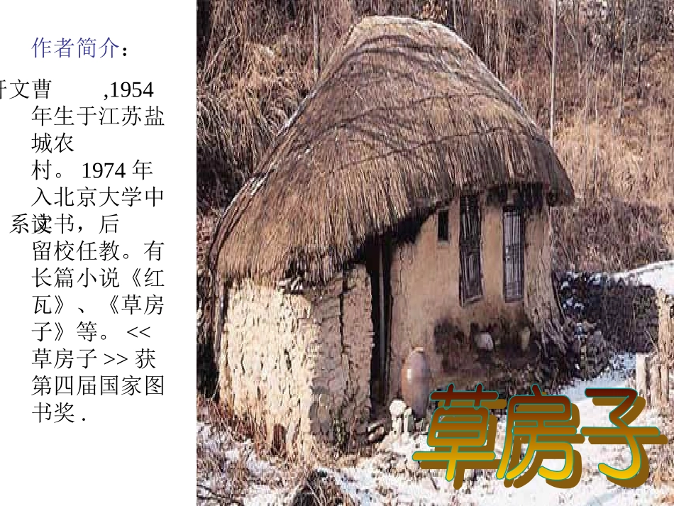 孤独之旅 (2)_第2页