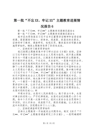 第一批“不忘XX、牢记XX”主题教育进展情况报告6