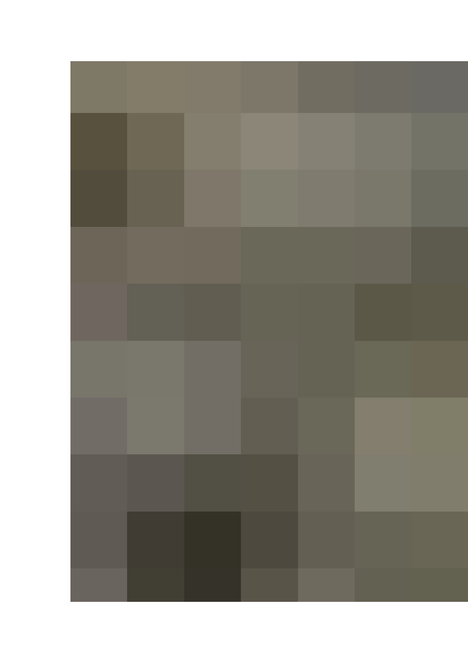 一个美丽的约定_第2页