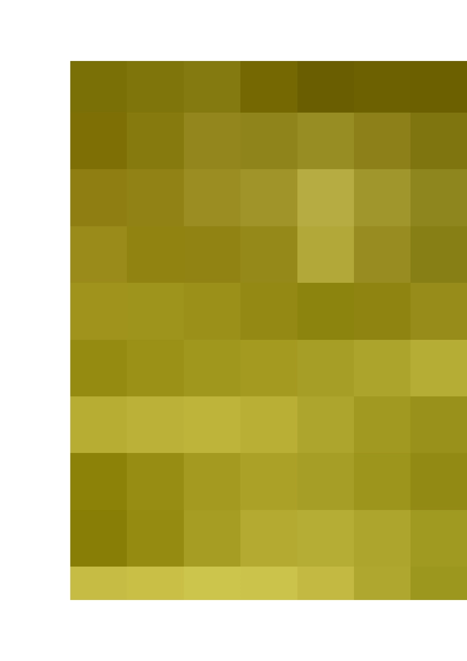 一个美丽的约定_第3页