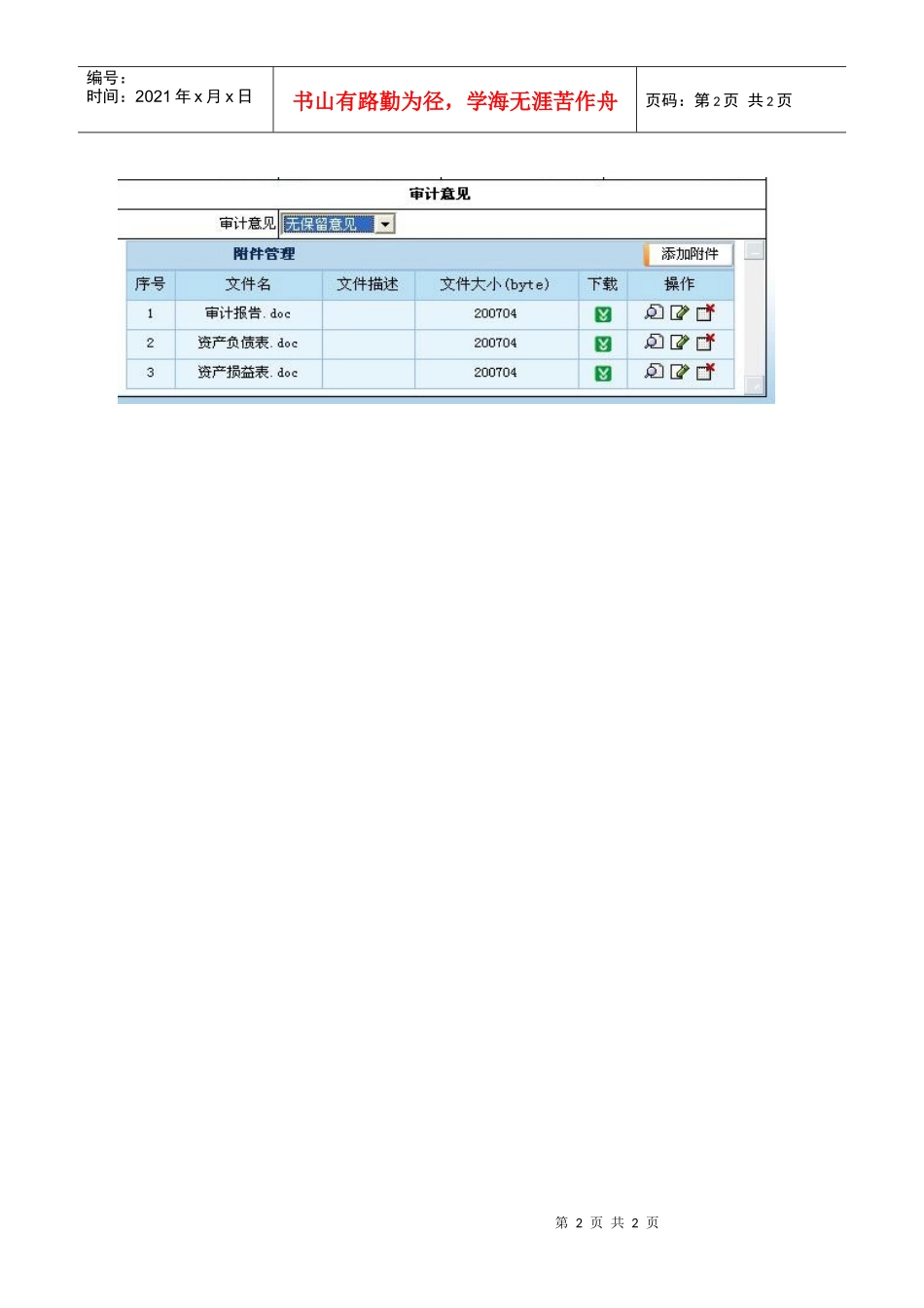 外资企业年检审计数据录入_第2页