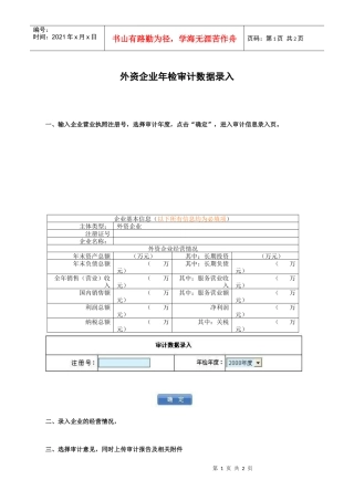外资企业年检审计数据录入