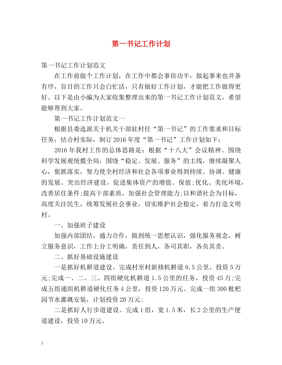 第一书记工作计划 _第1页