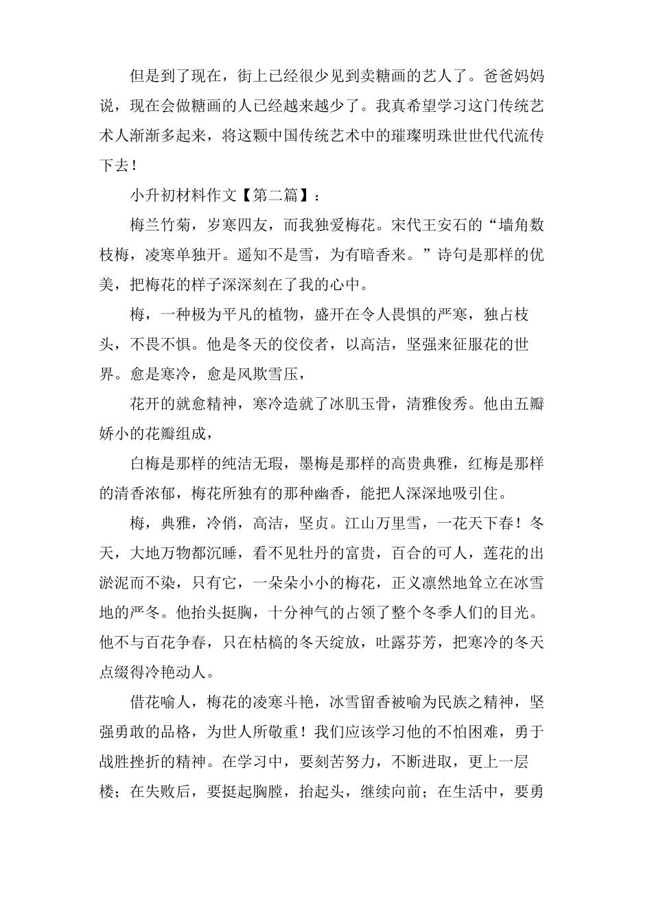 小升初材料作文范文_第2页