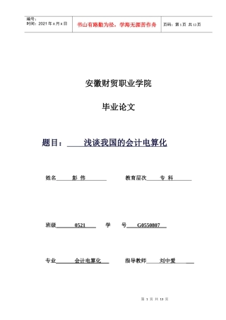 试论我国的会计电算化