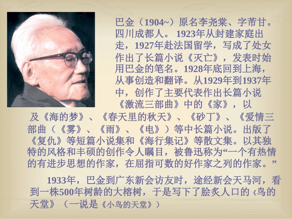 四年级《鸟的天堂》课件_第2页