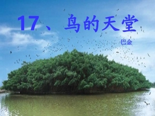 四年级《鸟的天堂》课件