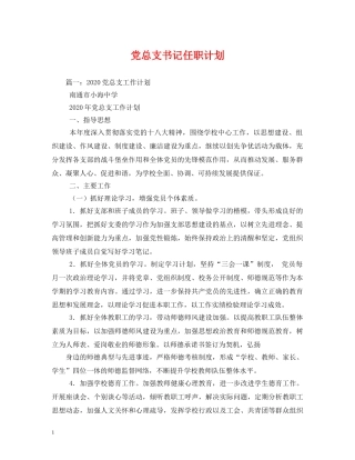 党总支书记任职计划 
