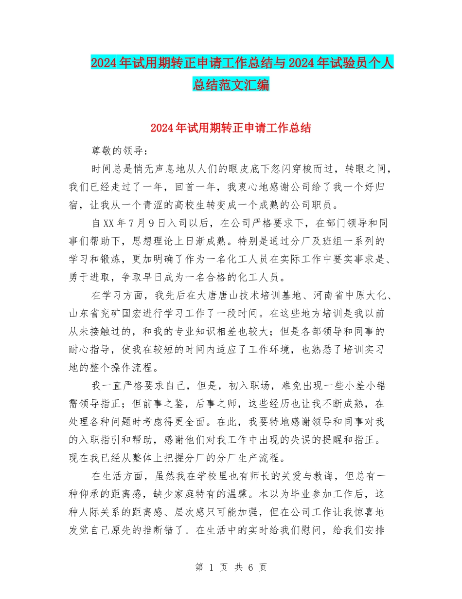 2024年试用期转正申请工作总结与2024年试验员个人总结范文汇编_第1页