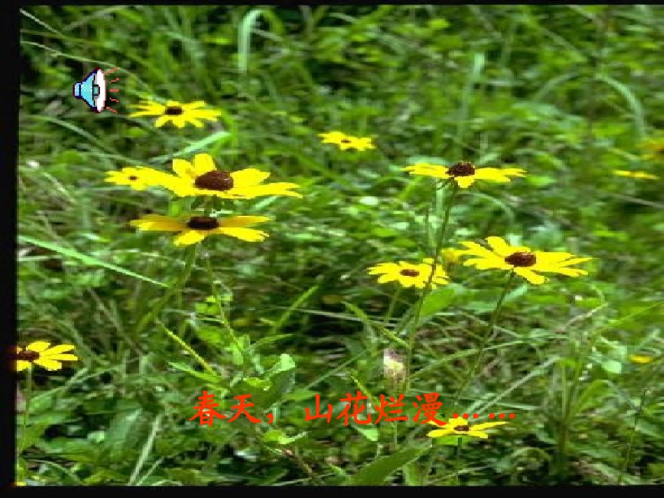 《春晓》课件 (2)_第2页