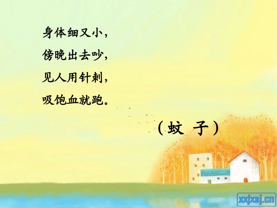 放飞蜻蜓PPT课件_第2页