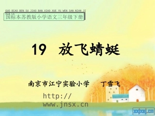 放飞蜻蜓PPT课件