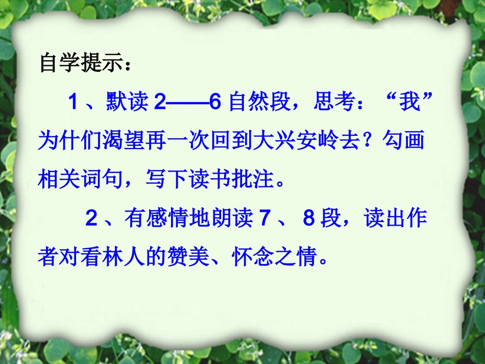 白桦林的低语2_第3页