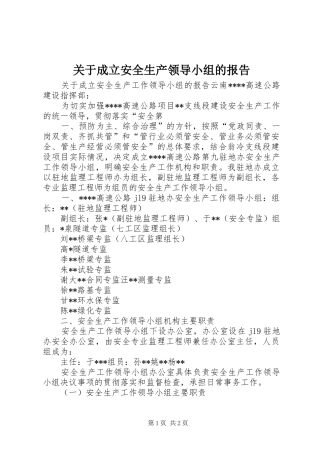 关于成立安全生产领导小组的报告