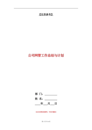 公司网管工作总结与计划