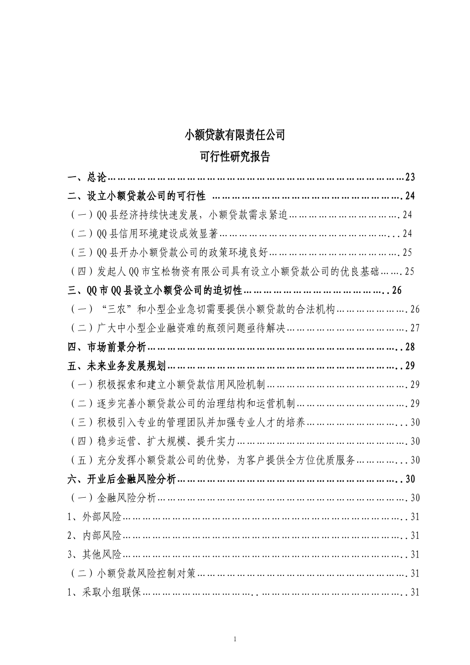 小额贷款可行报告_第1页