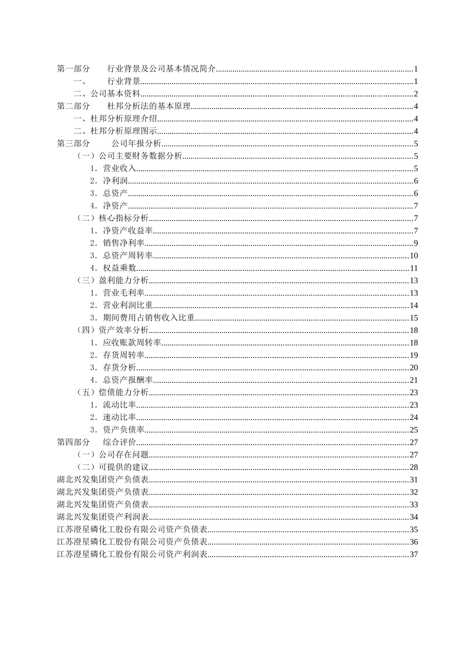 某农业公司财务报表分析报告_第2页