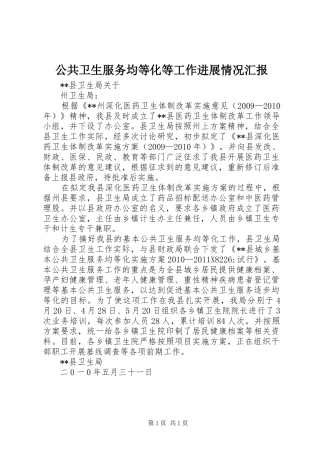 公共卫生服务均等化等工作进展情况汇报