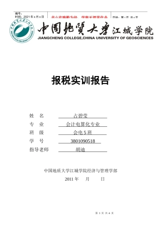 网上报税实训报告
