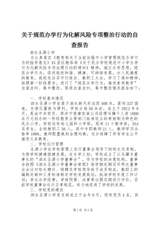 关于规范办学行为化解风险专项整治行动的自查报告