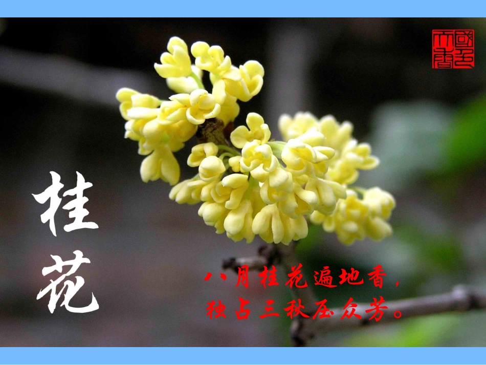 分子和原子课件_第1页