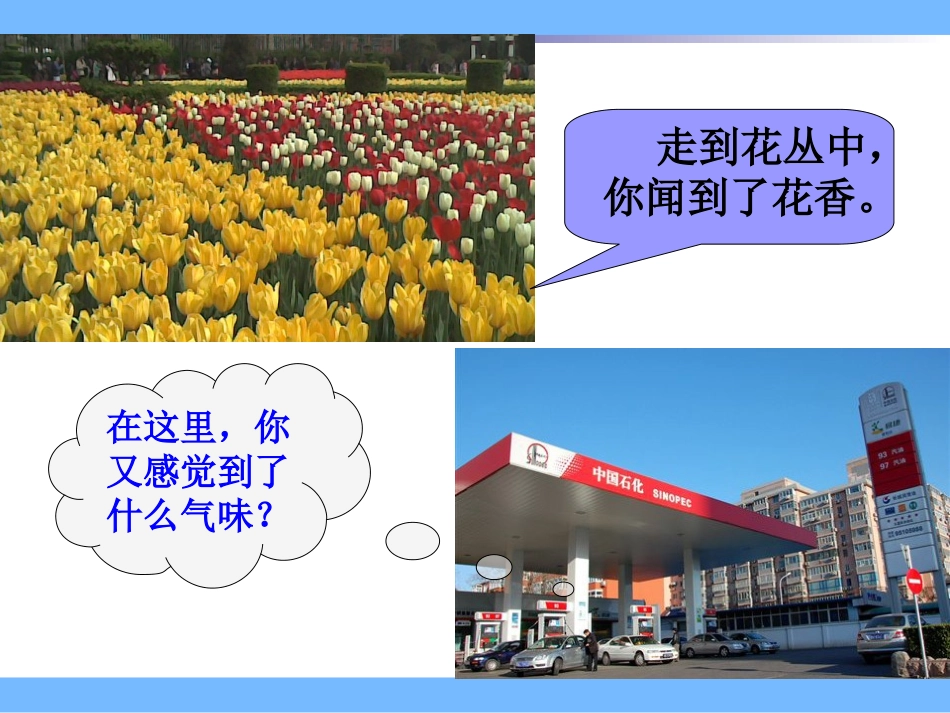 分子和原子课件_第2页