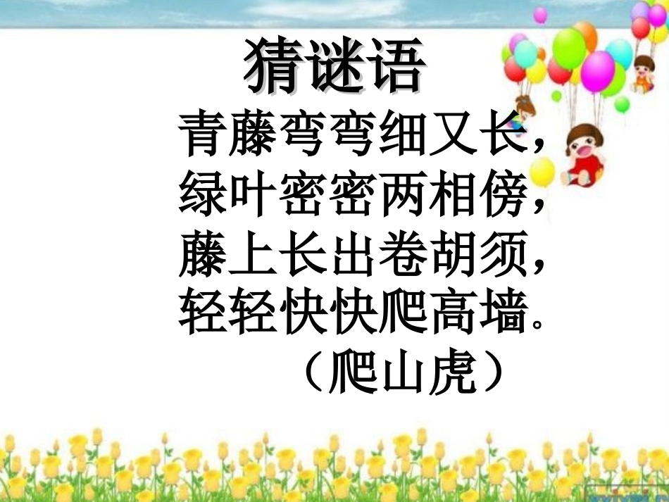 《爬山虎的脚》课件 (5)_第2页