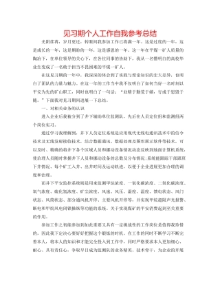 见习期个人工作自我参考总结