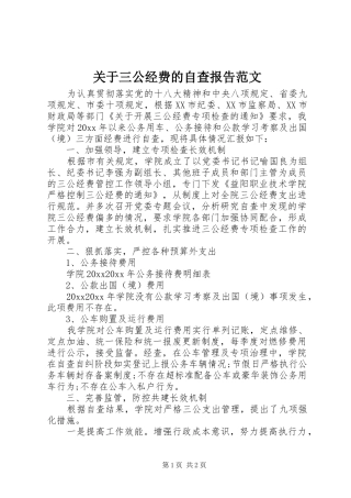 关于三公经费的自查报告范文
