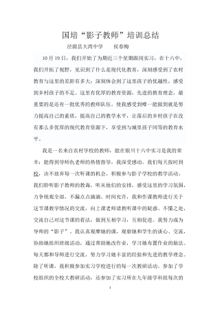 国培“影子教师”培训总结1
