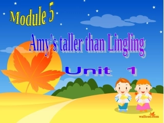 小学英语比较级课件