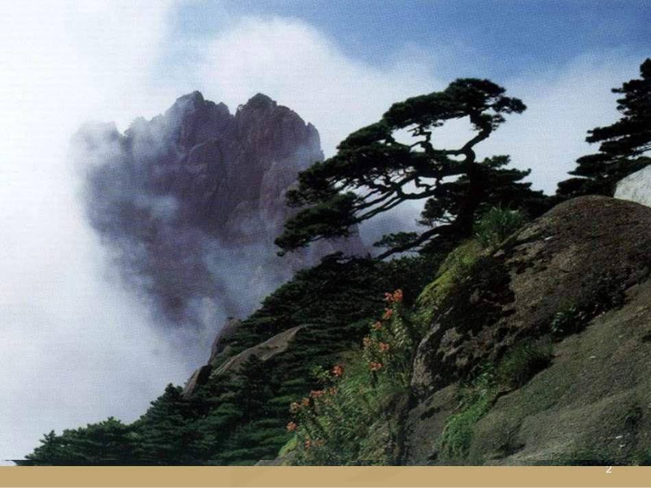 黄山奇松课件_第2页