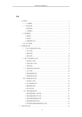 股份有限公司财务分析报告