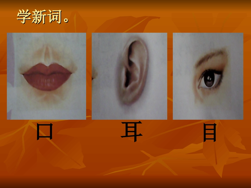 牙膏牙刷漱口杯_第3页