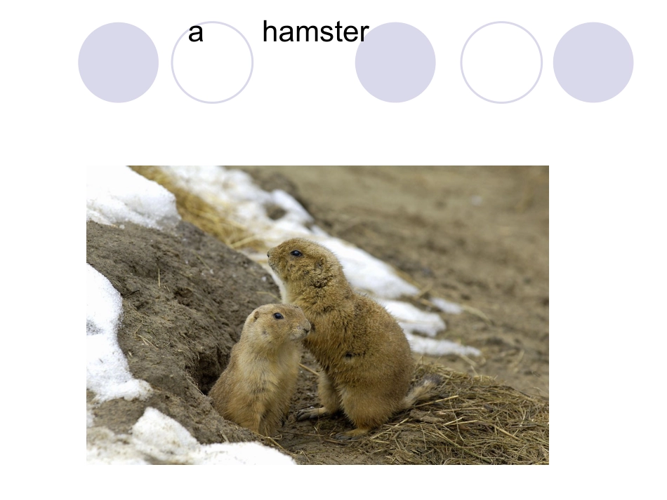 灵通第三册unit6课件_第2页